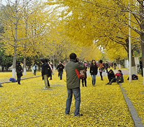 C7网页版登录风采展示三